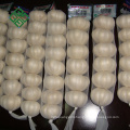 manufacture top fresh pure white garlic